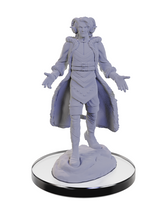Load image into Gallery viewer, Critical Role : Minis Wave 5 - Lucien Tavelle &amp; Cree Deeproots
