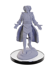 Critical Role : Minis Wave 5 - Lucien Tavelle & Cree Deeproots