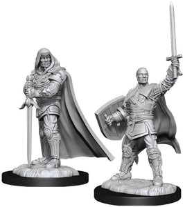 Dungeons & Dragons (D&D) : Unpainted Minis WV13 Human Paladin Male