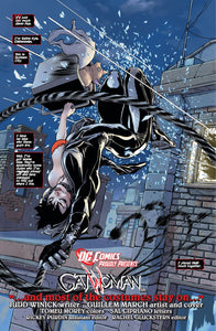 Catwoman (New 52) Vol. 1 : The Game