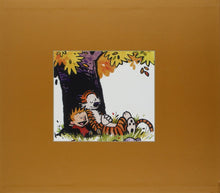 Load image into Gallery viewer, Complete Calvin and Hobbes
