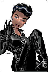 Catwoman Vol. 1 : Trail of the Catwoman