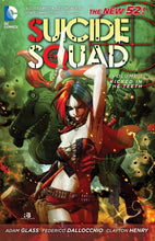 Load image into Gallery viewer, Suicide Squad (New 52) Vol. 1 : Kicked in the Teeth
